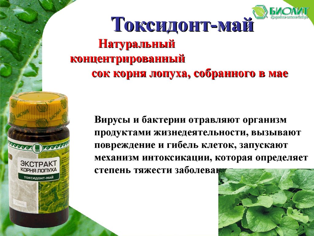 Купить Алкоголь И Сок Лопуха В Аптеке