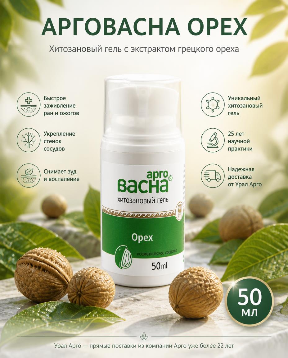 Арговасна Орех