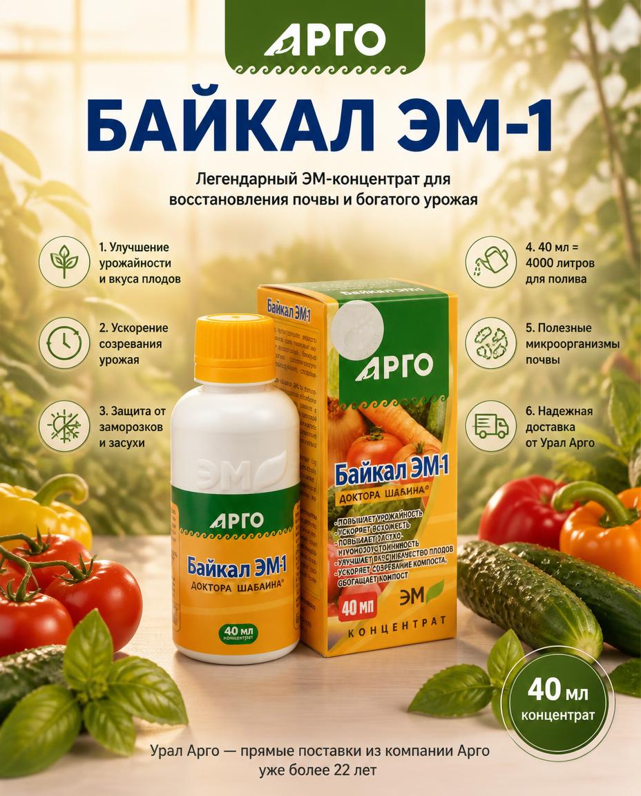 Байкал-ЭМ1