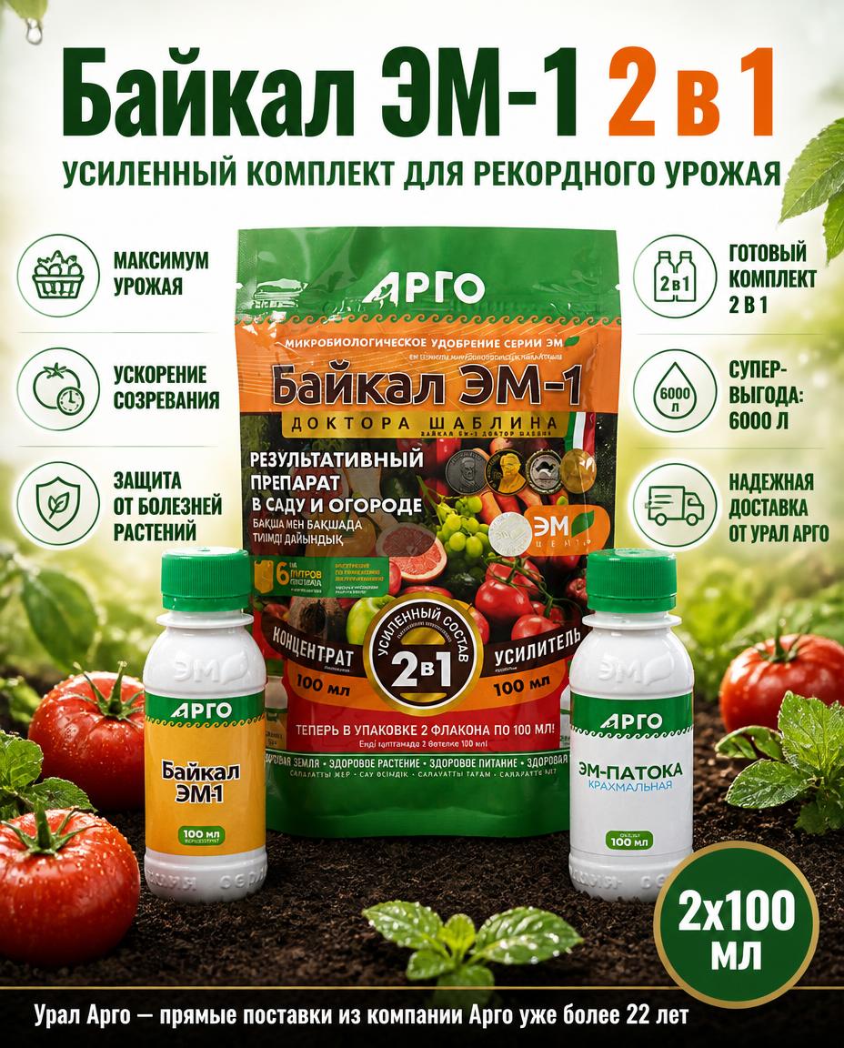 Байкал ЭМ1 2 в 1