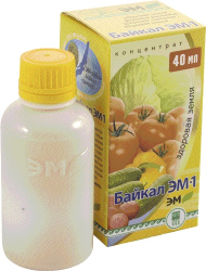 Байкал-ЭМ1