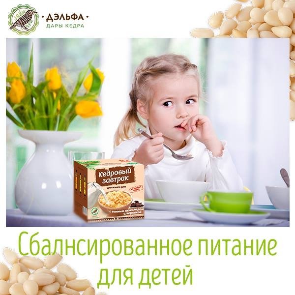 Кедровая сила