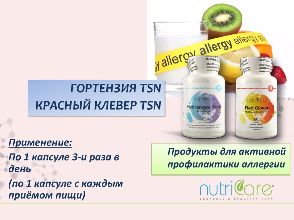 Гортензия