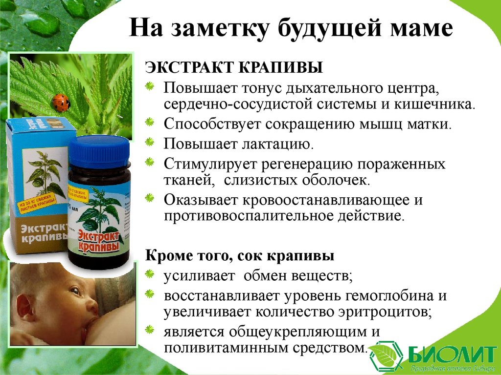 Экстракт крапивы
