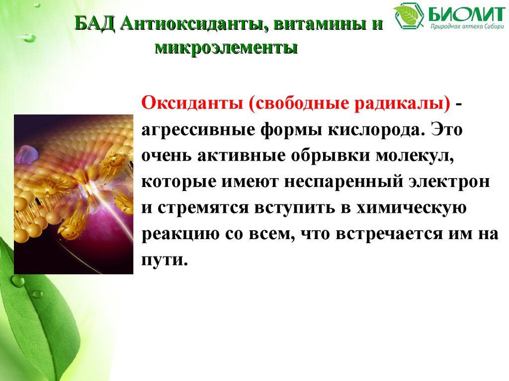 Биолит