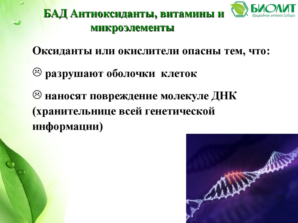 Биолит Арго