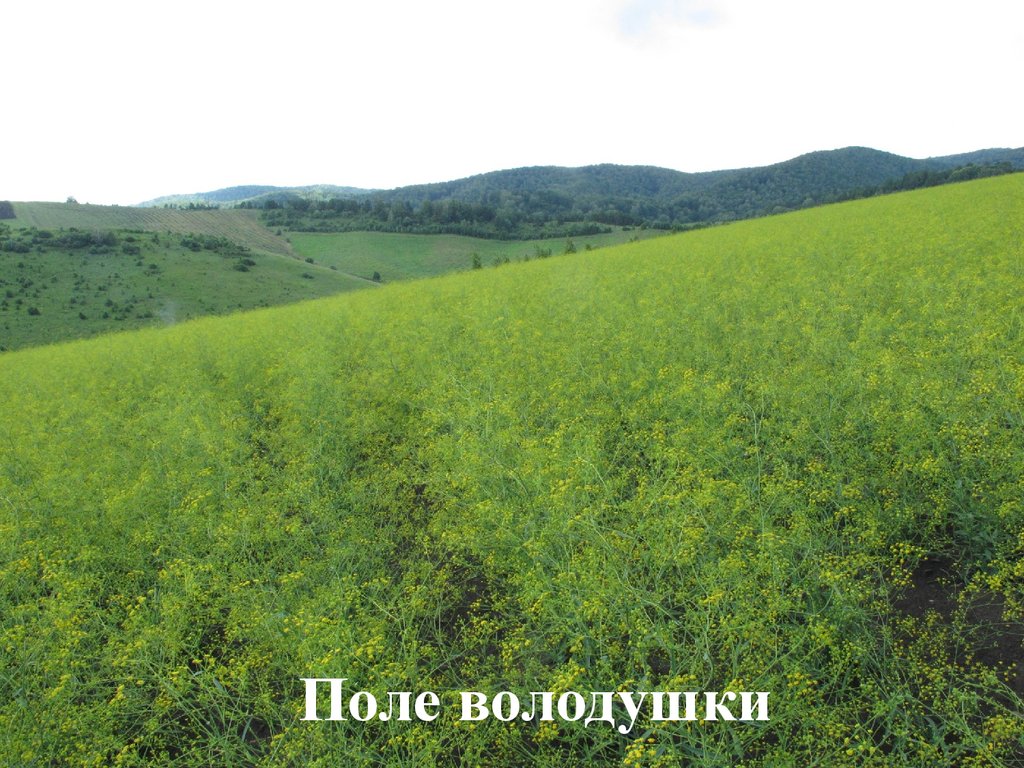 Биолит Екатеринбург